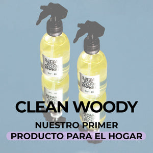Clean Woody, nuestro primer producto para el hogar
